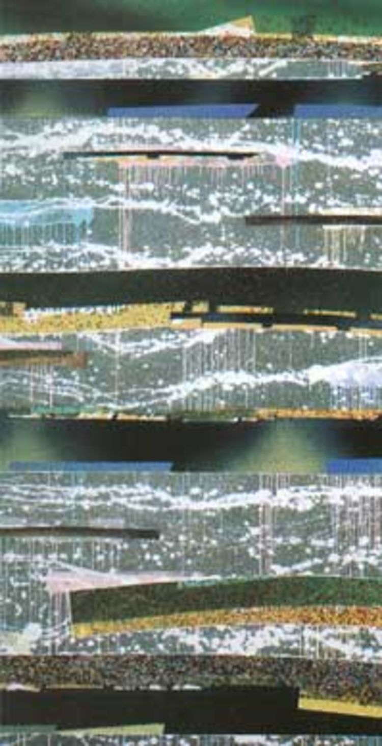 43 0 784200994175449