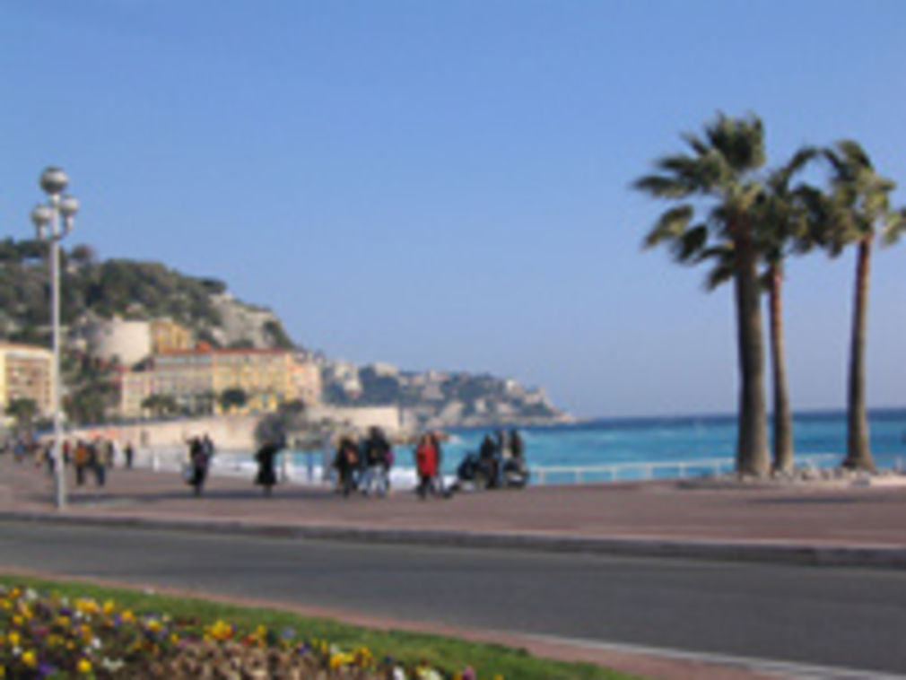 577 0 3650181078316042