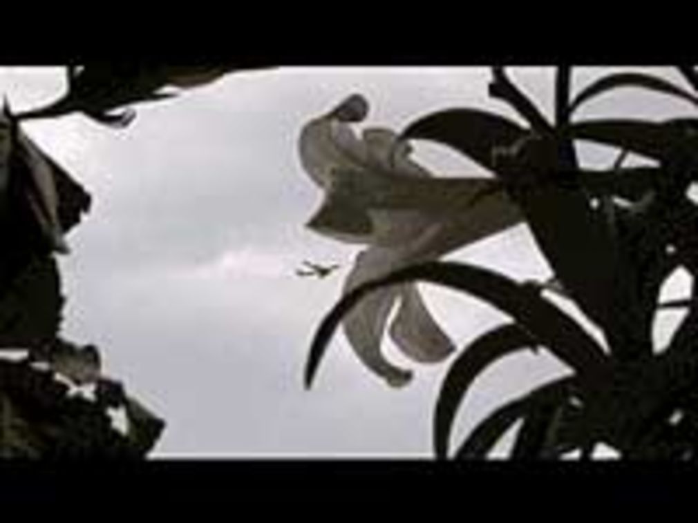 1172 0 2104351114085697