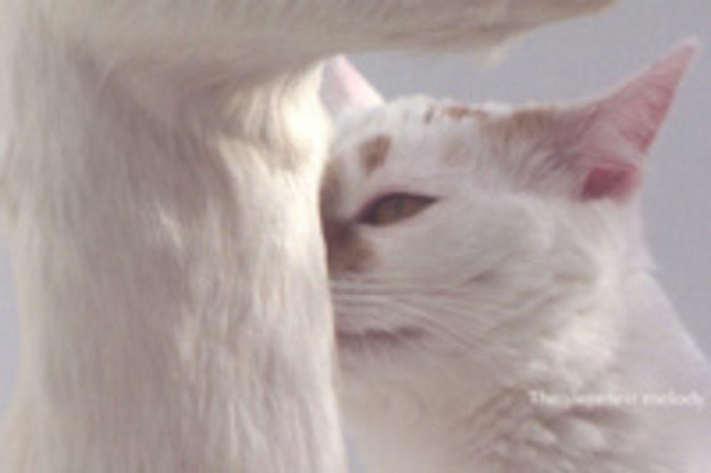 1232 0 6237921116356277