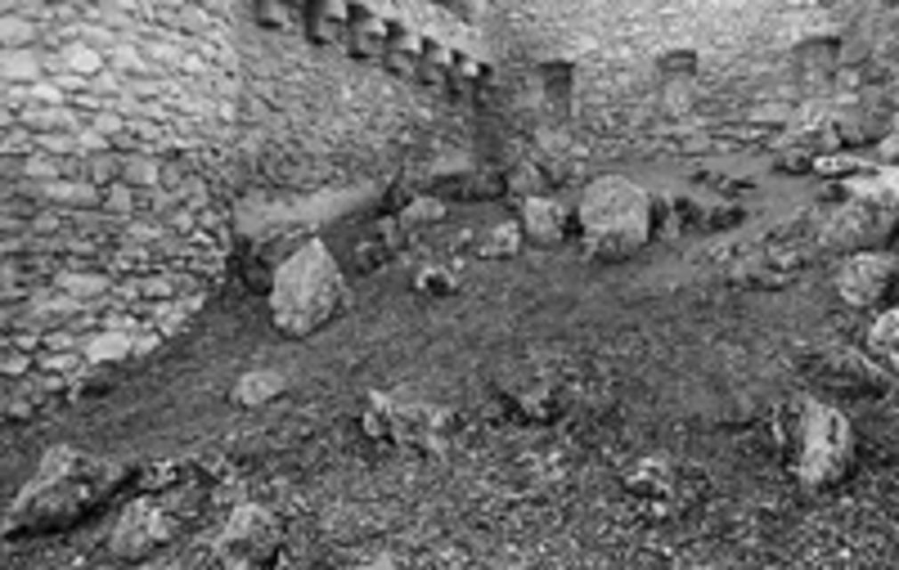 1302 0 5107381121284947