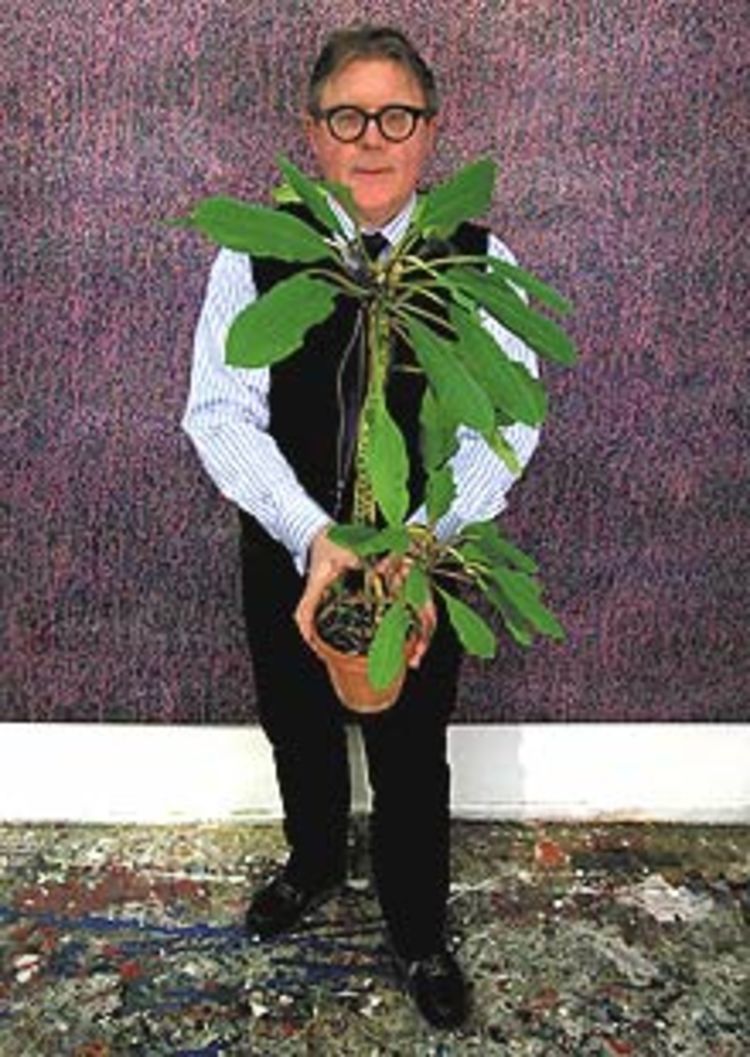 Janko220px