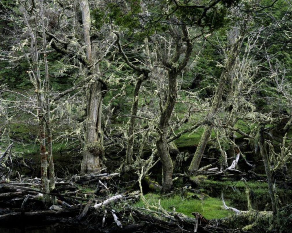 Korntheuer ushuaia6 500