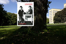 Wollheim frankenthal park k