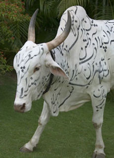 Forouhar