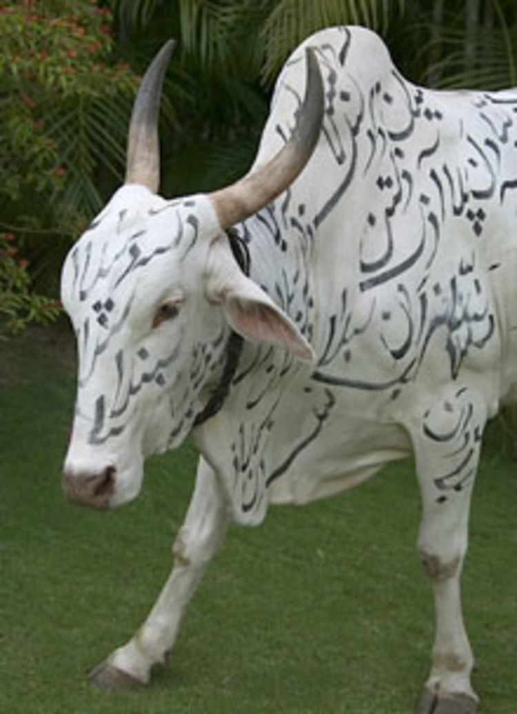 Forouhar