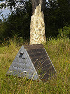 Shelter