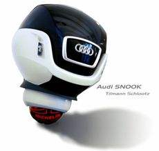 Snook model 01