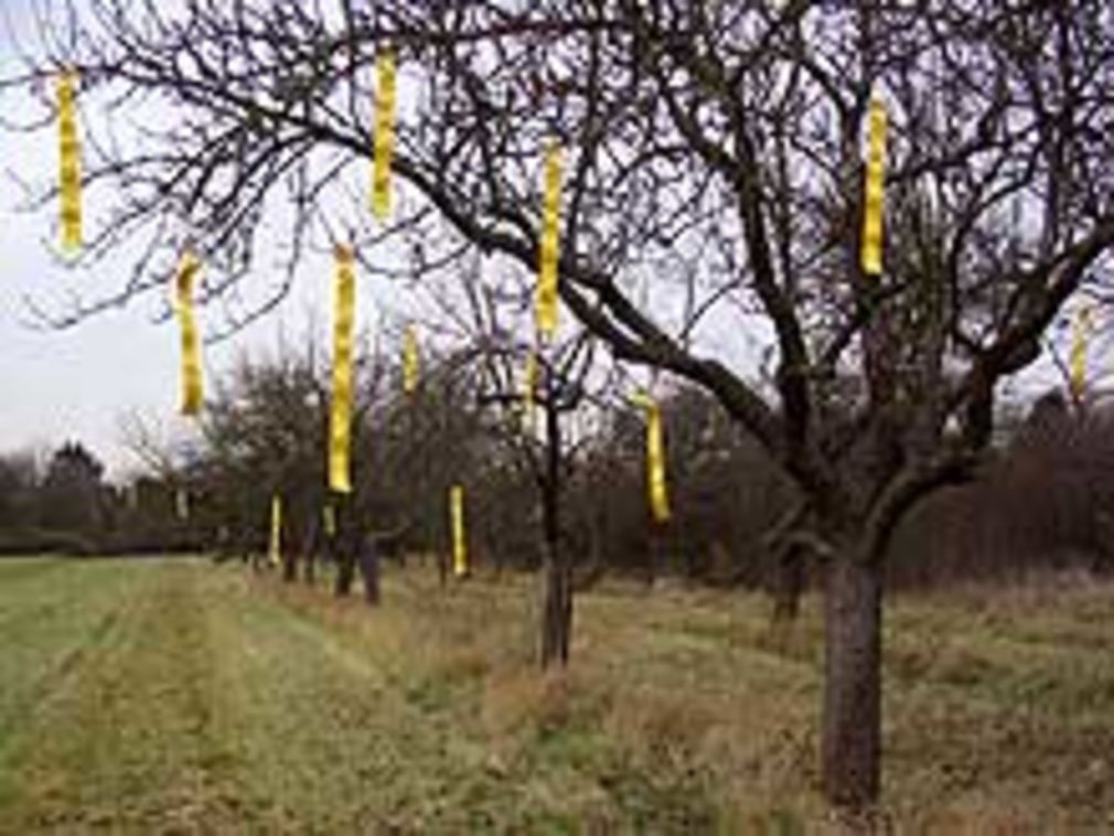 Installationwiese 04