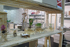Ambiente 01
