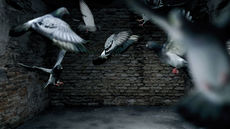 Between tim bollinger