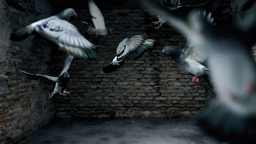 Between tim bollinger