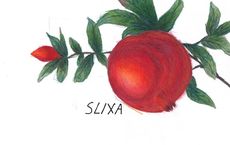 Slixa 02