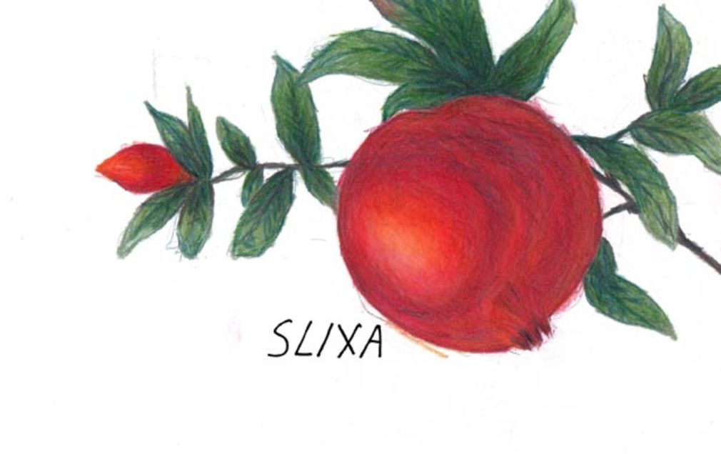 Slixa 02