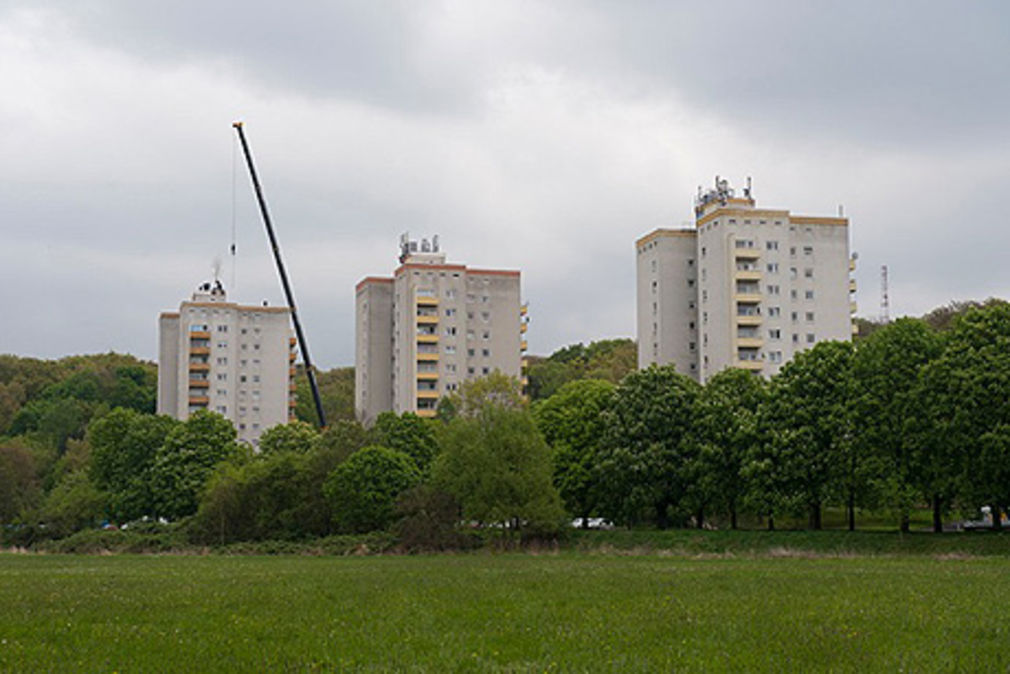 Dsc 9347