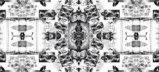 Jardin noir daniel stern