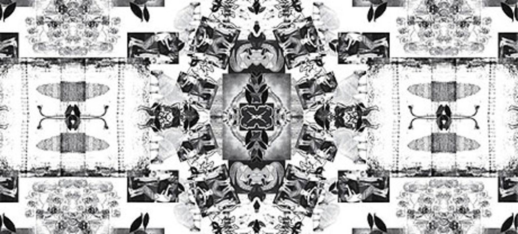 Jardin noir daniel stern