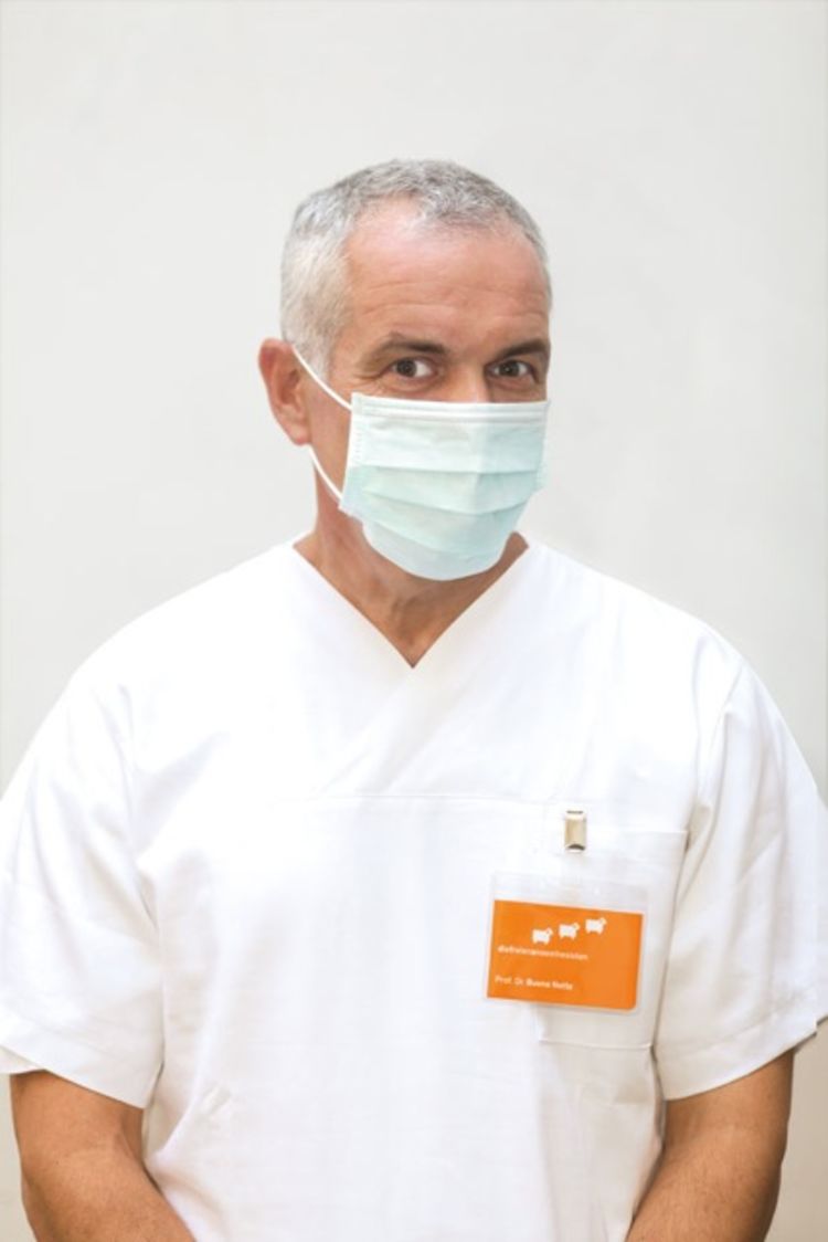 Profhesse anaesthesist