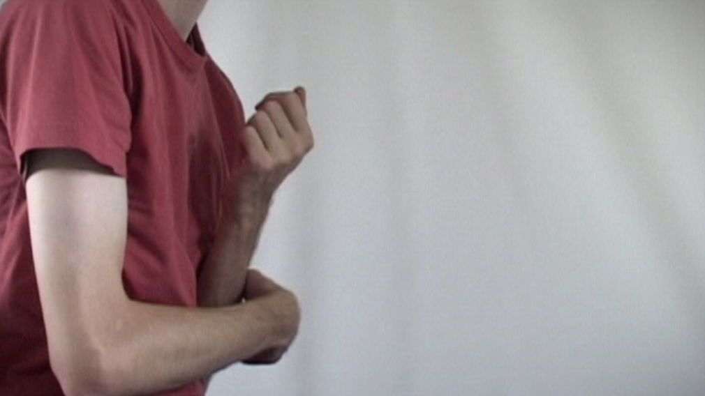Mandelkern ringelschwandtner