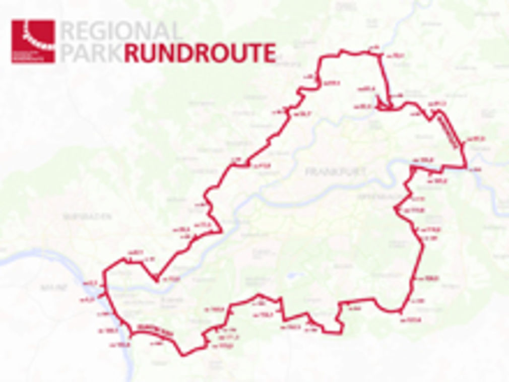 Reg 03