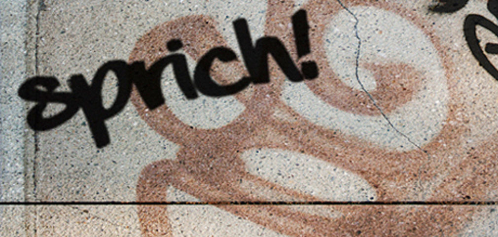 Sprich web