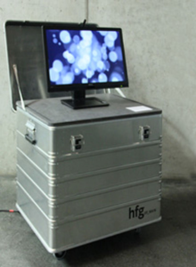 Zheng pusteblume003