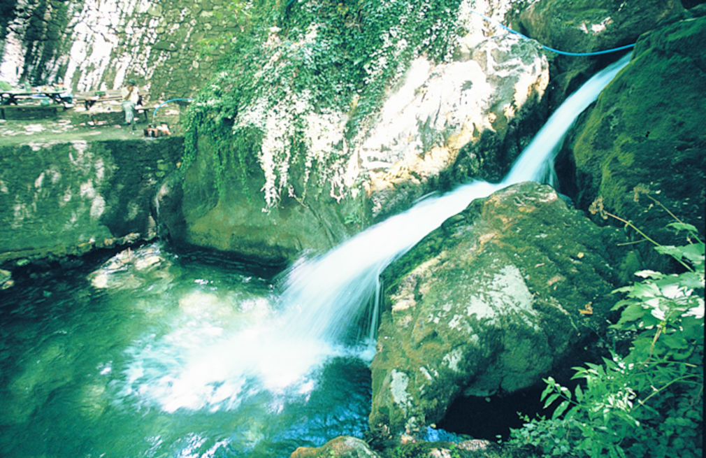 Livingwater 01