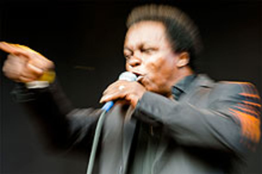 Lee fields by malte saenger 01