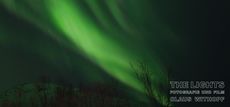 The lights 01