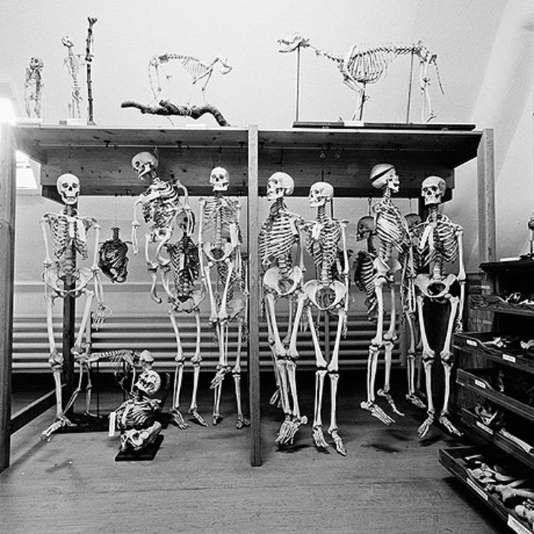 25 humankapital60x60
