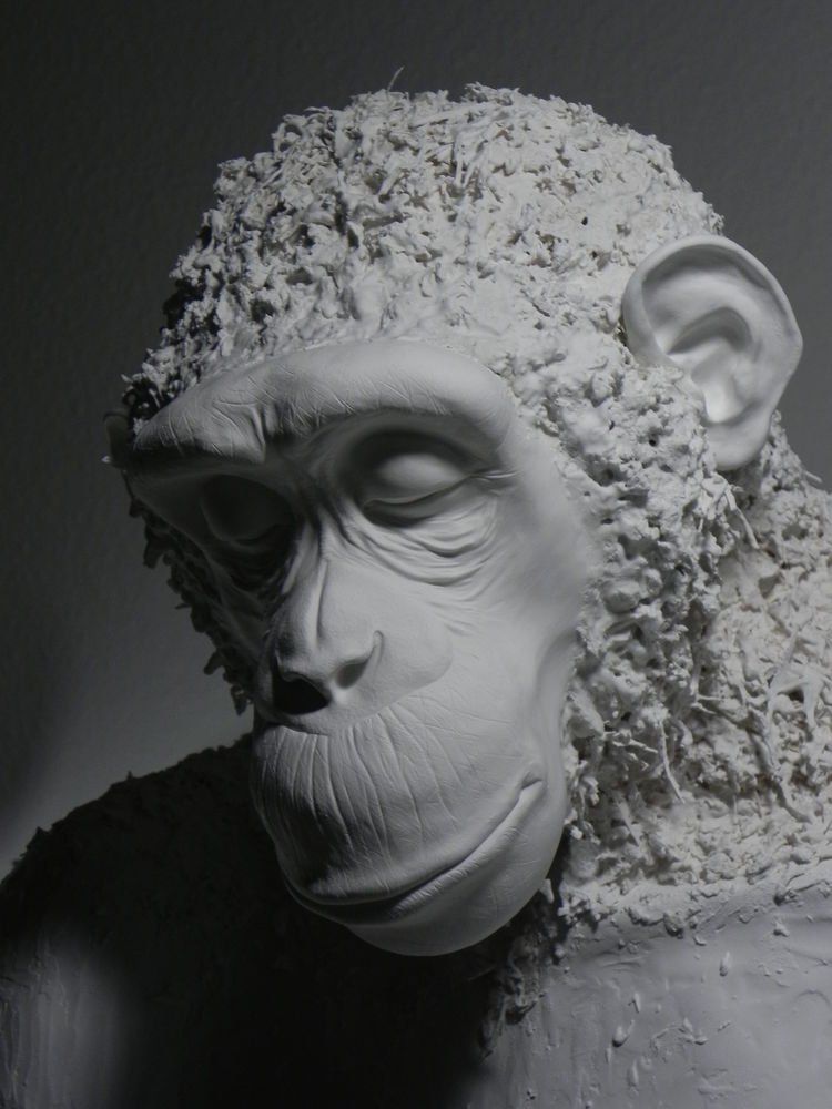 Kopf1