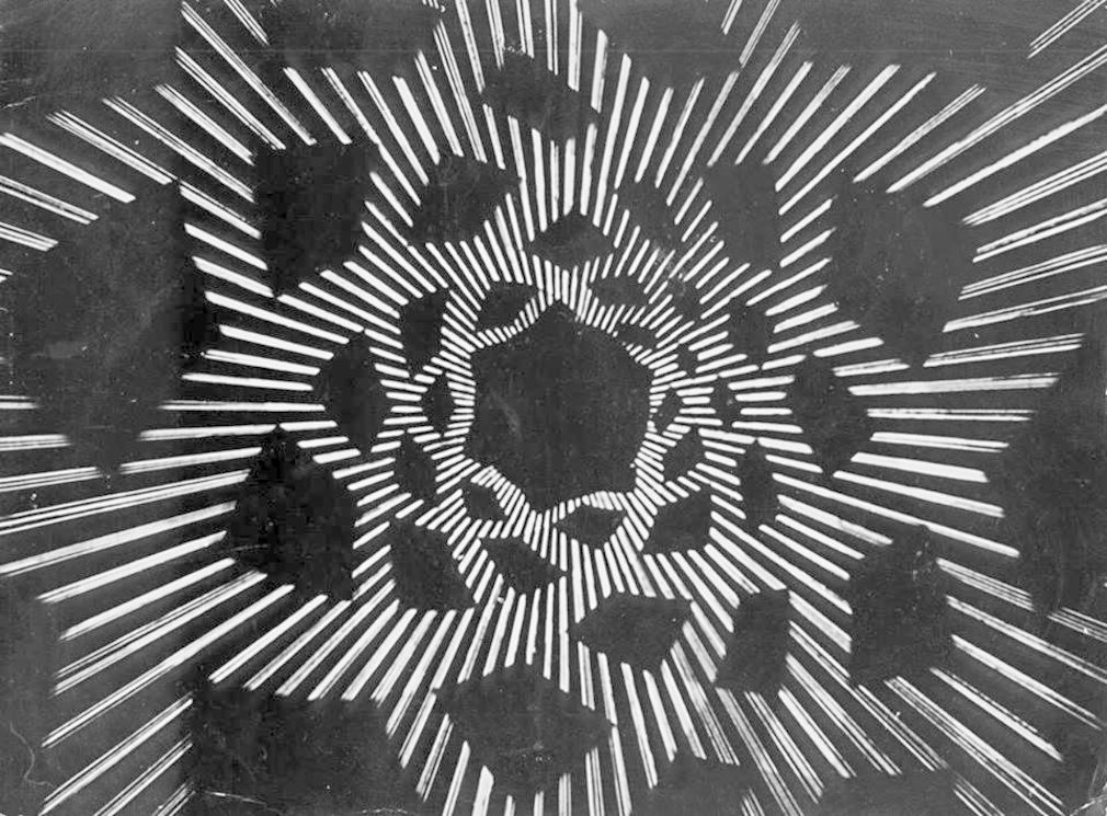 19702182 10213430503574269 6417780155614749270 n