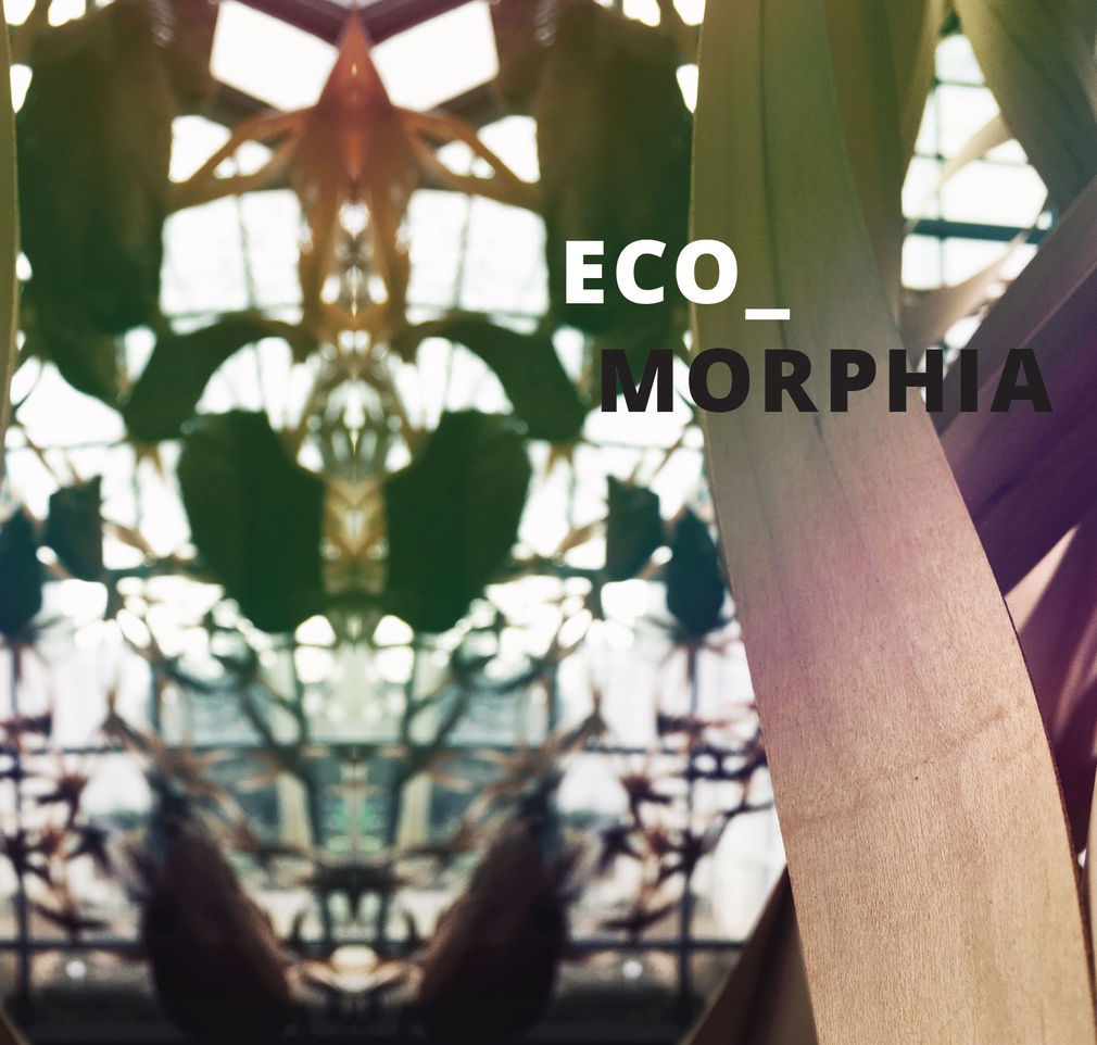 Eco morphia titel