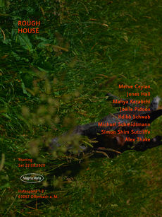Roughhouse poster