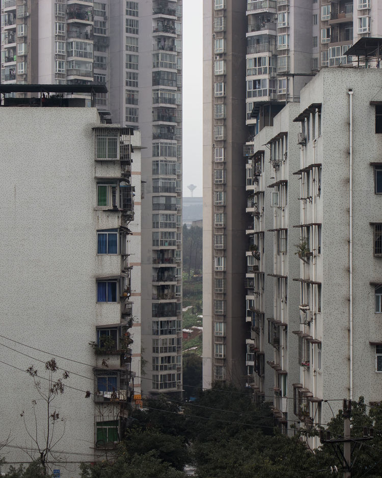 Verdiana albano surrounded china chongqing 2019 20  03