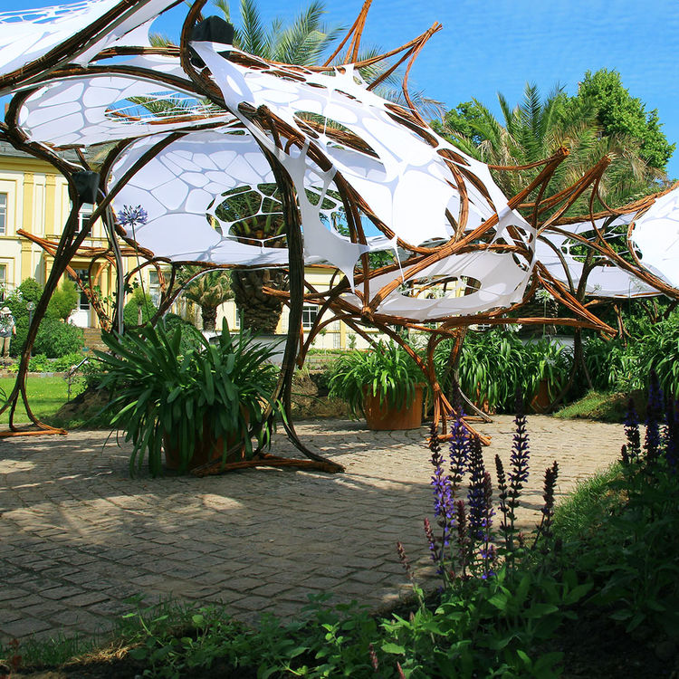 Palmengarten imd plant transistor 01 foto sebastian klimek 2387 m