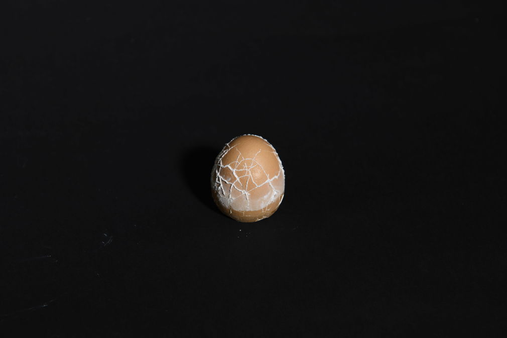  dsc4486