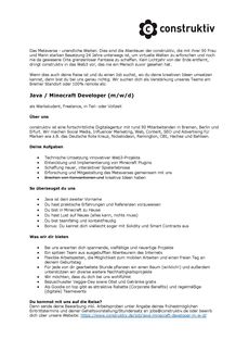 Stellenanzeige java minecraft developer