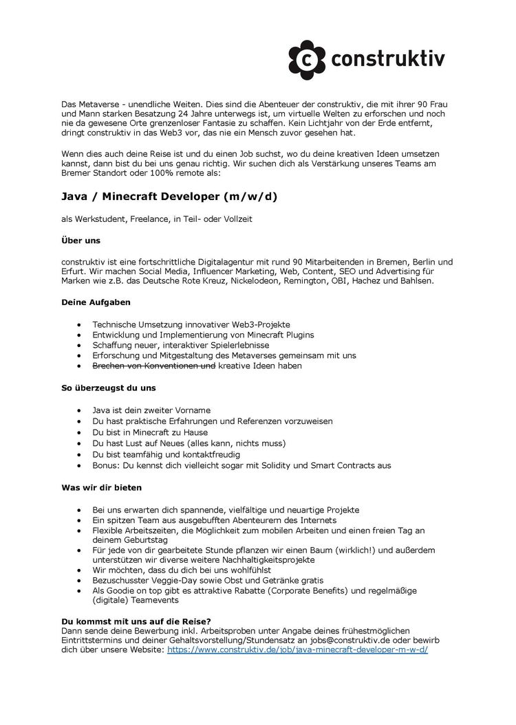 Stellenanzeige java minecraft developer