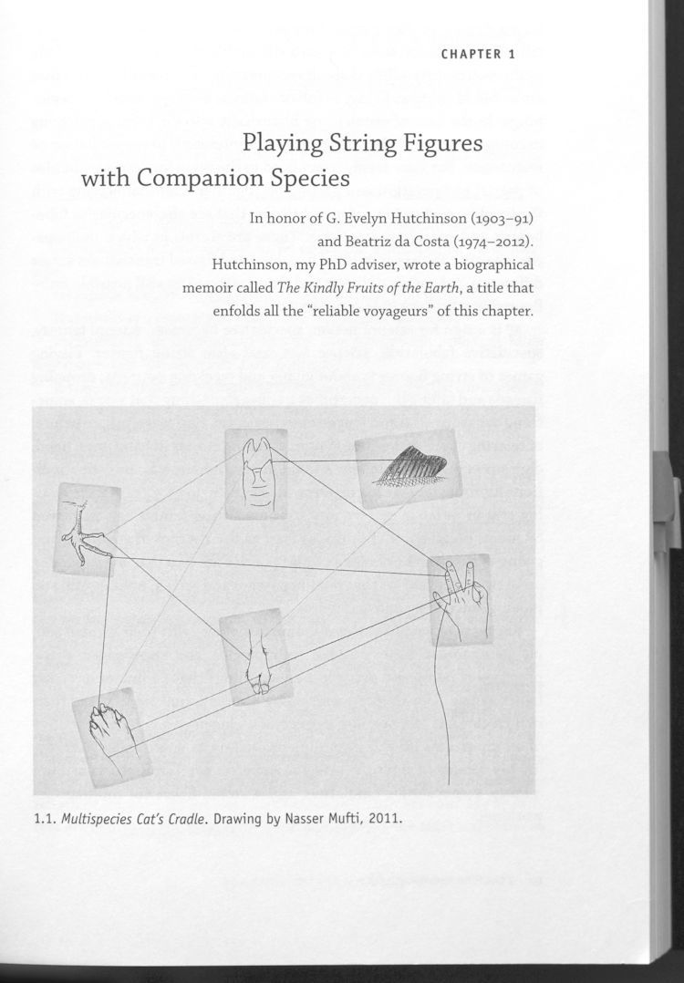 Donna haraway  speculative fabulation
