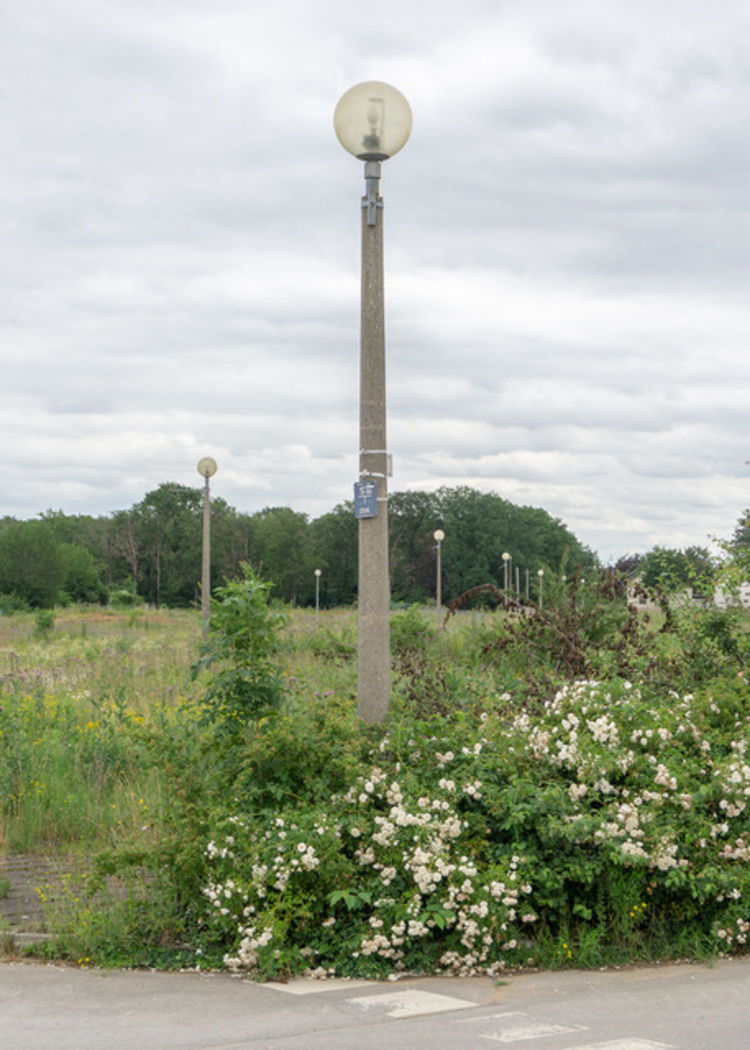 Postkarte