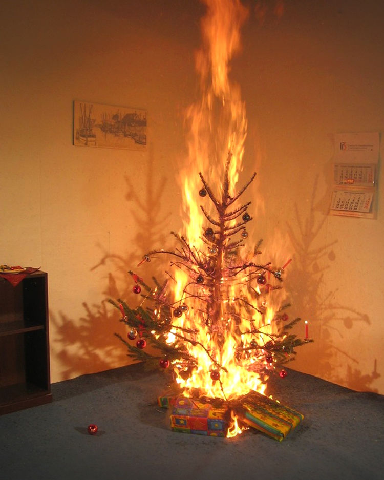 Fw lfvsh feuerwehreins tze wegen brennender weihnachtsb ume