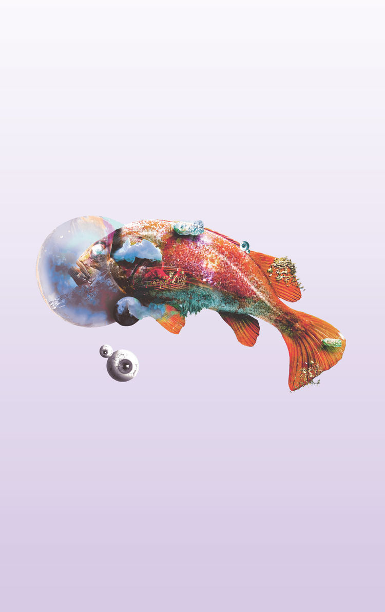 Centered composition godfish