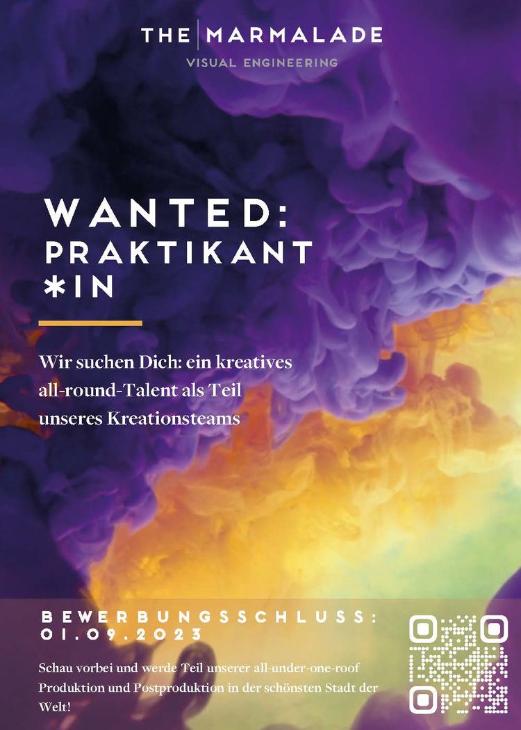Flyer ausschreibung pflichtpraktikum tm