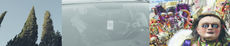 Banner brieftaube hfg hab