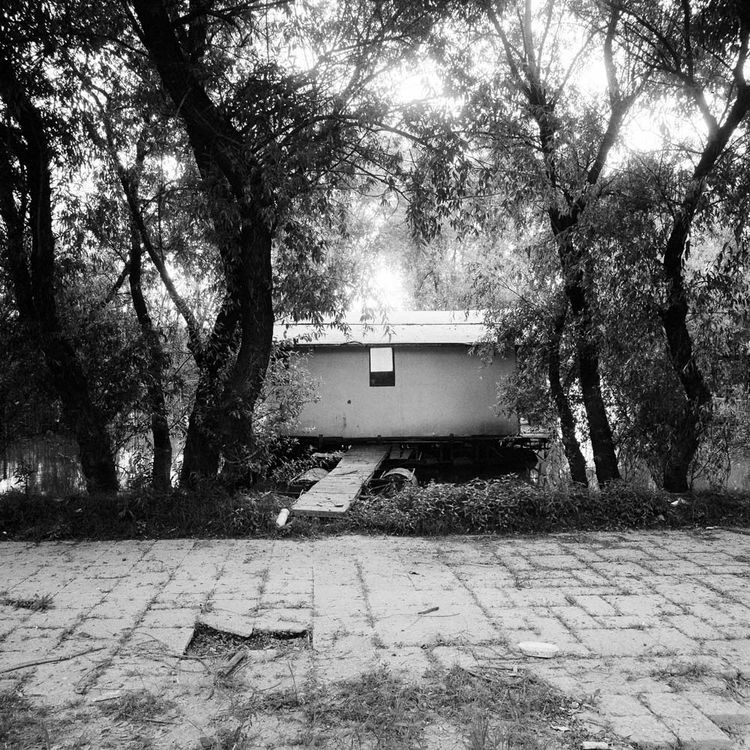 04 bild von florian albrecht schoeck