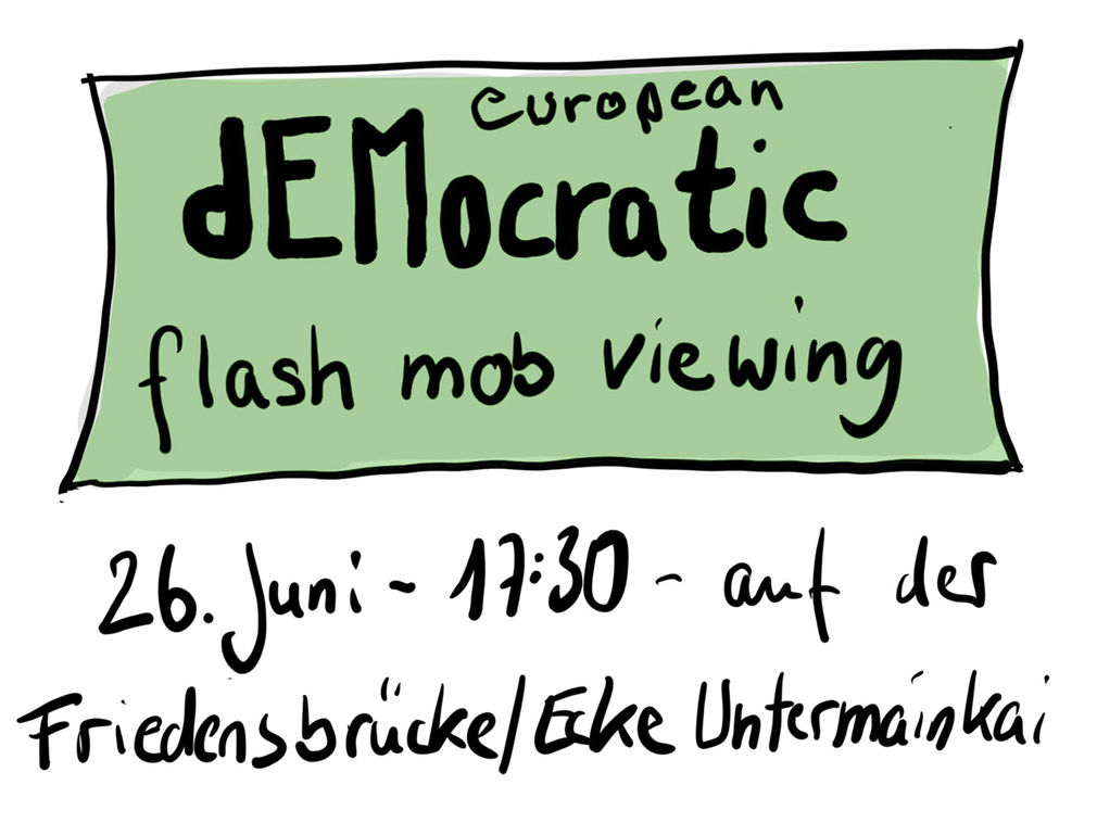 Das demokrator flashmop klein