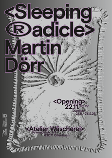 Martin doerr poster sleeping radicle 2025 1