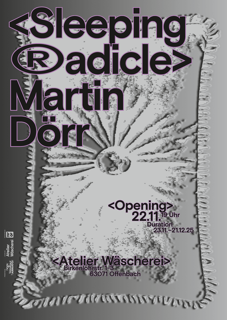 Martin doerr poster sleeping radicle 2025 1