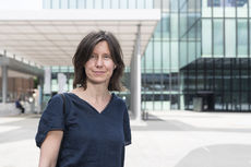 Lara almarcegui 2018 artbasel2018 creativetime basilea 5009